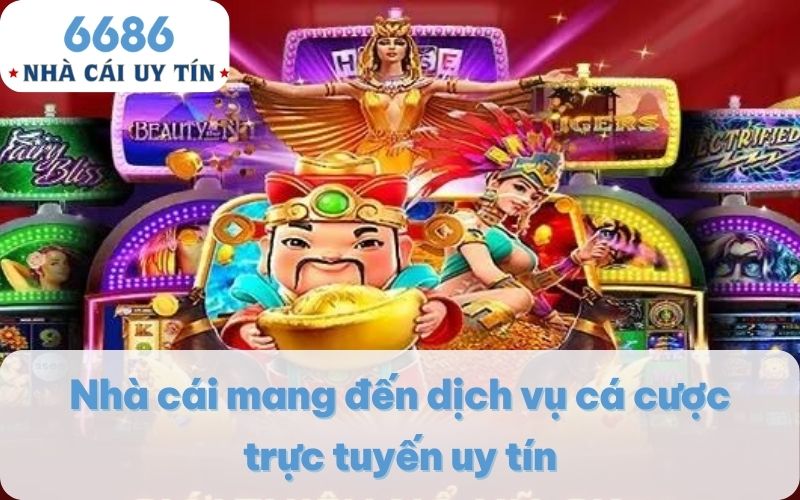 Nhà cái mang đến dịch vụ cá cược trực tuyến uy tín