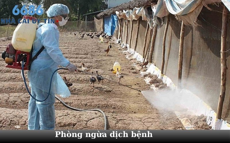 Phòng ngừa dịch bệnh 