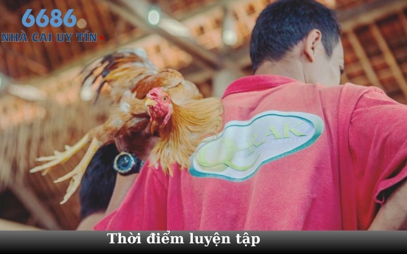 Thời điểm luyện tập 